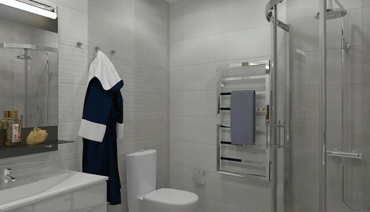 Bathroom in gray color
