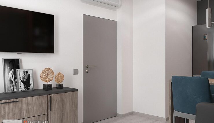 Door in the living room in gray