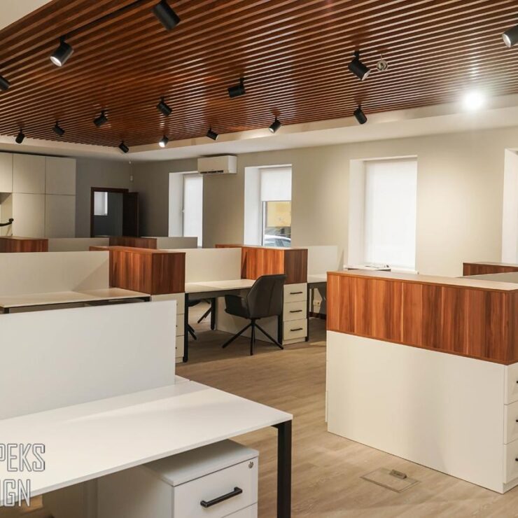Office renovation, Kyiv, Office of the Energy Company (300 sq.m.)