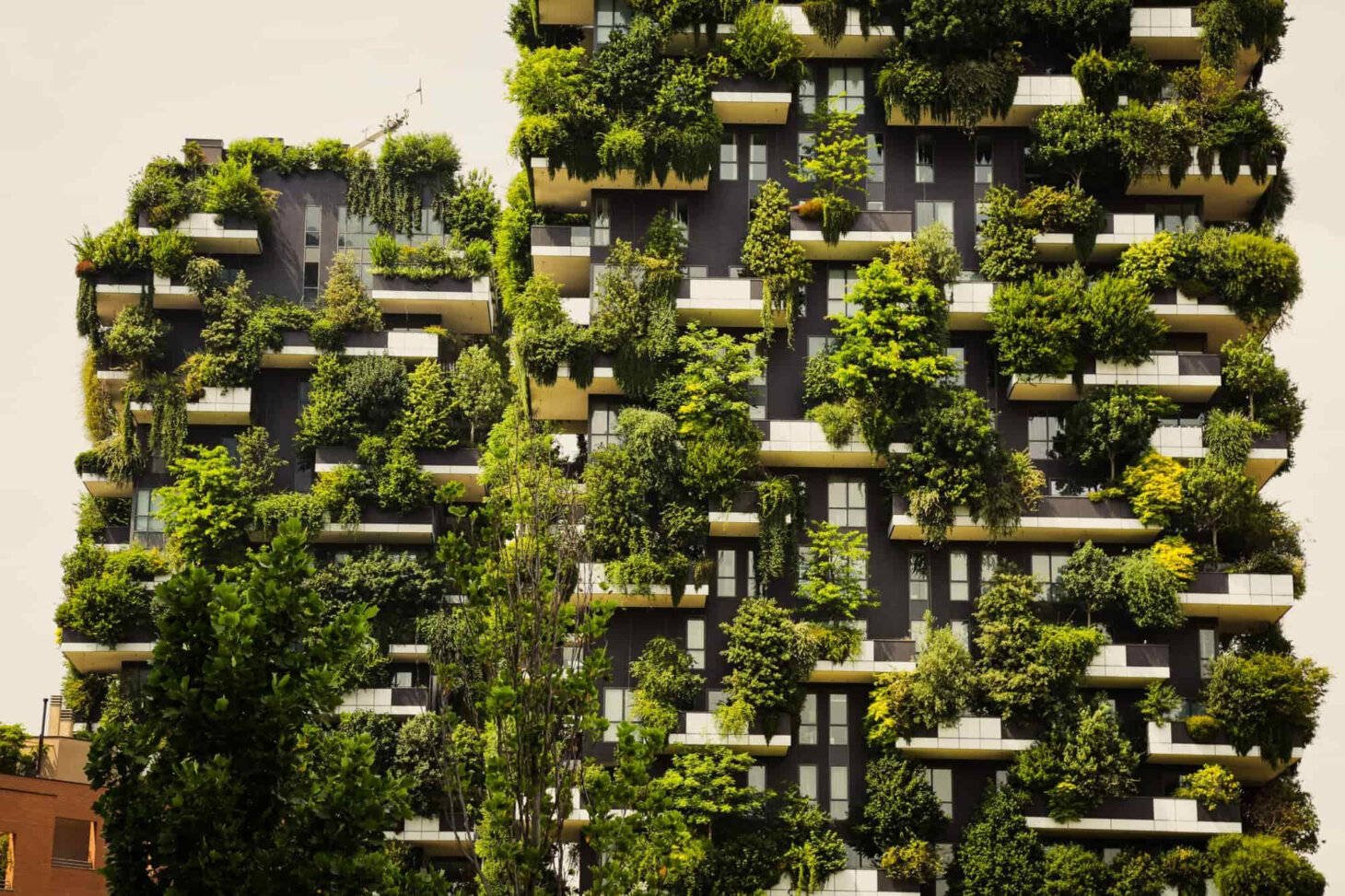 Sustainable materials and eco-friendly design